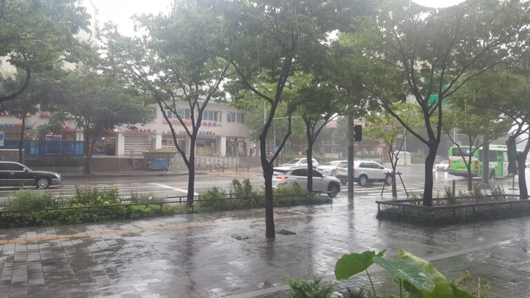 Typhoon Jangmi are coming to Korea.