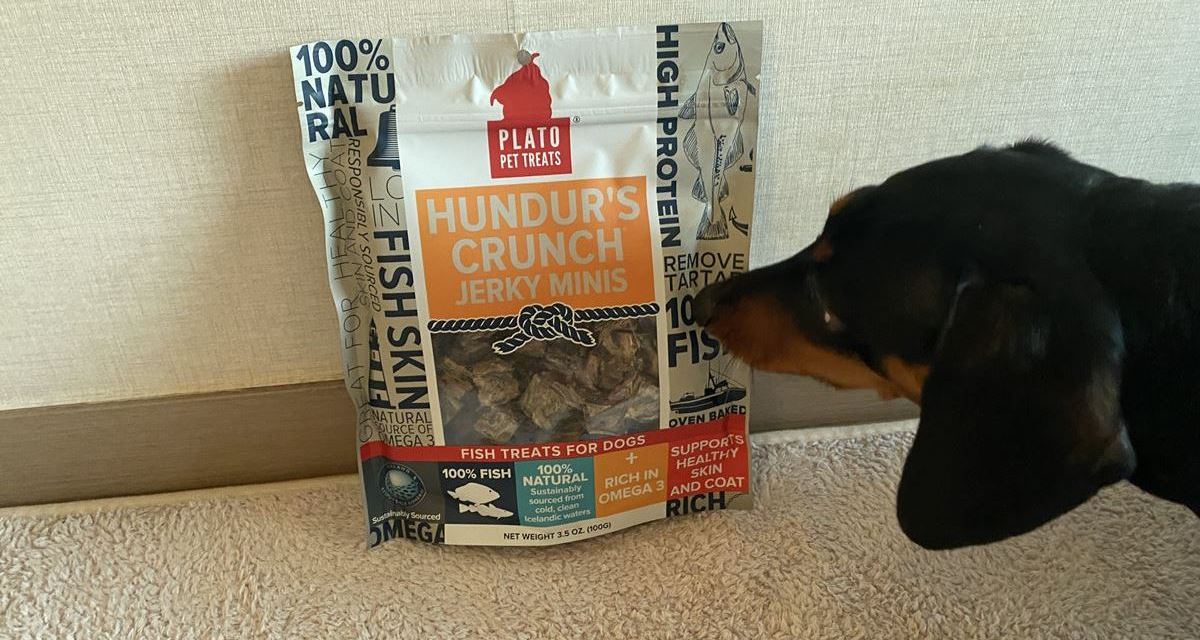 Plato Hundur's Crunch Jerky Minis Dog Treats review