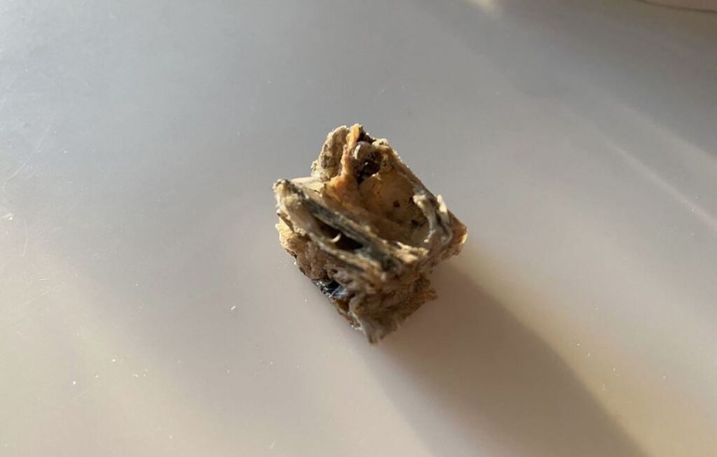 Plato Hundur's Crunch Jerky Minis Dog Treats review