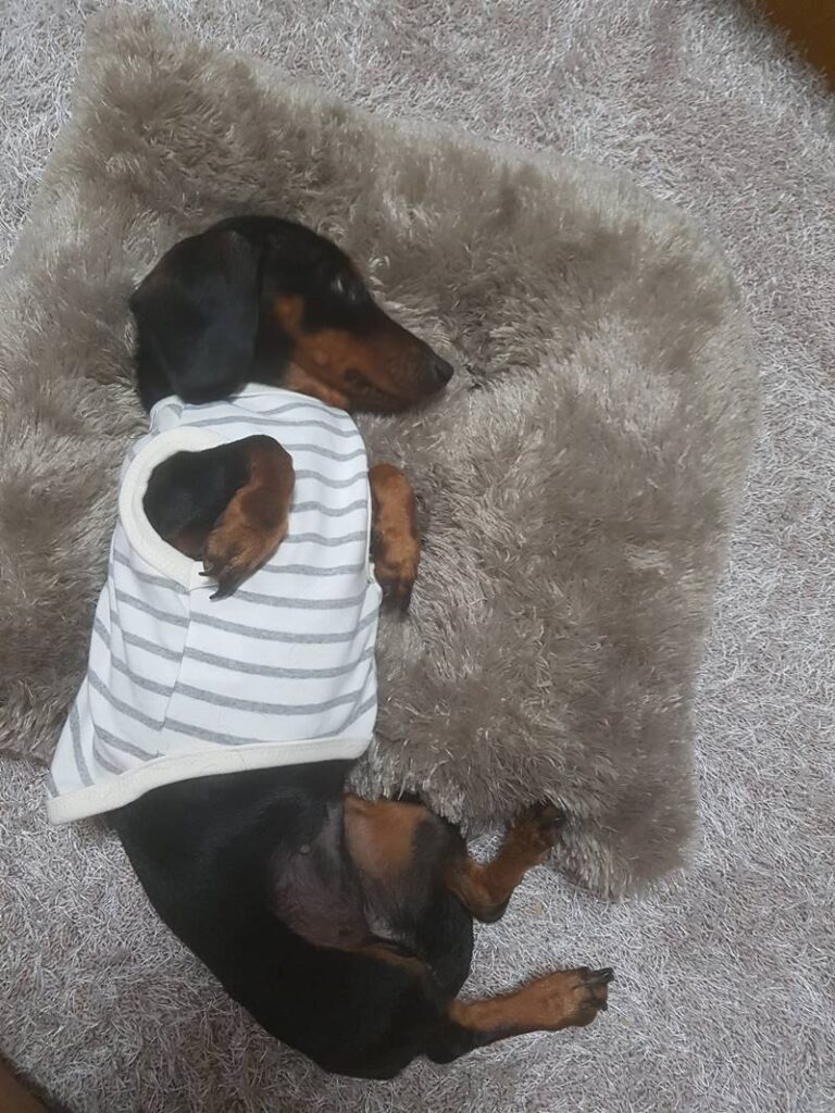 Chamggae's first day at home