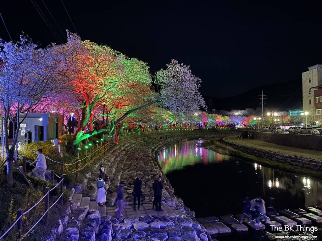 Famous Cherry Blossom Spot of Chungju
